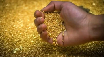 تراجع الذهب أسبوعيًا وسط استقرار يومي مع تفاؤل للعام المقبل